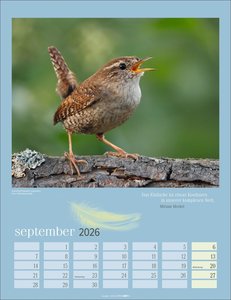 Heimische Vögel Kalender 2026