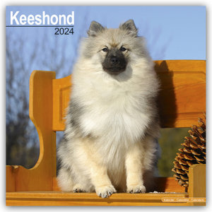 Keeshond - Wolfsspitz 2024 - 16-Monatskalender