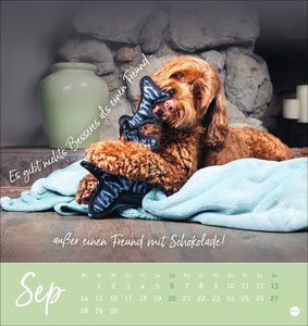 Ziemlich beste Freunde Postkartenkalender 2026