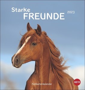 Pferde Postkartenkalender 2023