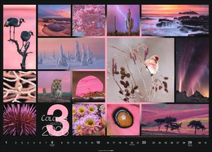 Colours of Nature Kalender 2026