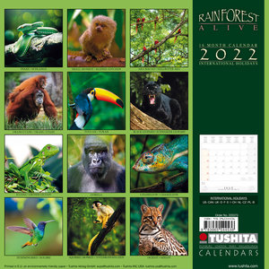 Rainforest Alive 2022
