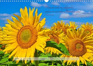 Motivierende Sprüche - gestärkt durch das Jahr (Wandkalender 2023 DIN A3 quer)