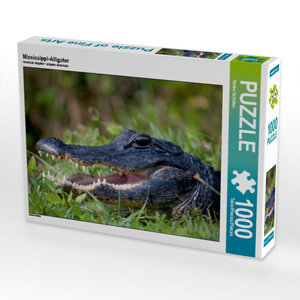 CALVENDO Puzzle Mississippi-Alligator 1000 Teile Puzzle quer