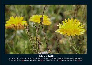 Blumenkalender 2022 Fotokalender DIN A4