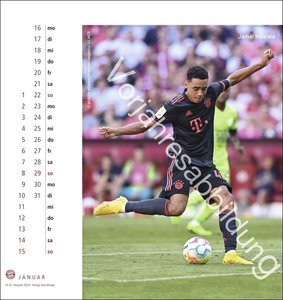 FC Bayern München Postkartenkalender 2024