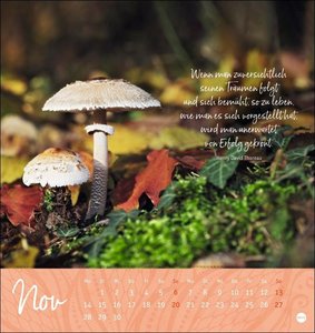 Ich wünsch dir ... Zeit zum Träumen Postkartenkalender 2022