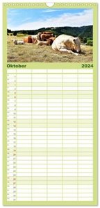 Familienplaner 2024 - Lebenswertes Dedenborn mit 5 Spalten (Wandkalender, 21 x 45 cm) CALVENDO