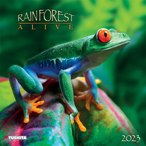 Rainforest Alive 2023
