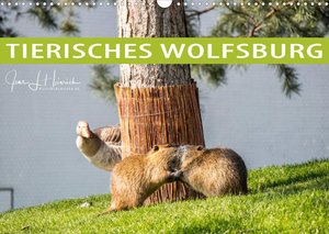 Tierisches Wolfsburg (Wandkalender 2023 DIN A3 quer)