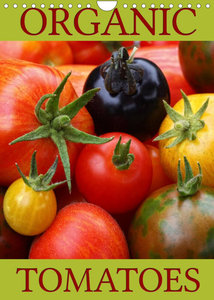 Organic Tomatoes (Wall Calendar 2023 DIN A4 Portrait)