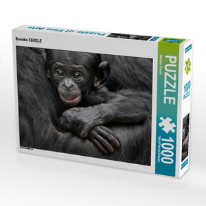 CALVENDO Puzzle Bonobo XEKELE 1000 Teile Puzzle quer