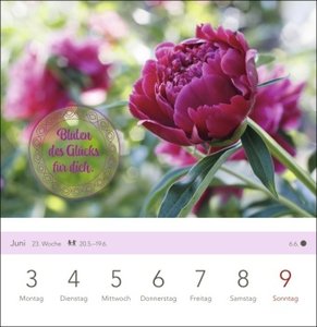 Wünsche für dich Postkartenkalender 2024. Wöchentlicher Kalender mit 53 stimmungsvollen Motiven für den Versand persönlicher Grüße. Dekorativer Tischkalender im Postkartenformat