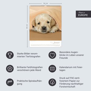 Hundekinder Posterkalender 2026