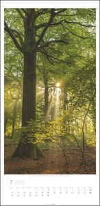 Im Wald Kalender 2022