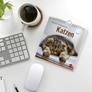 Tierisch entspannte Katzen Postkartenkalender 2026