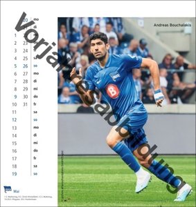 Hertha BSC Postkartenkalender 2025