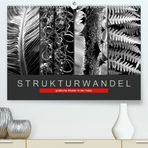 Strukturwandel, grafische Muster in der Natur(Premium, hochwertiger DIN A2 Wandkalender 2020, Kunstdruck in Hochglanz)
