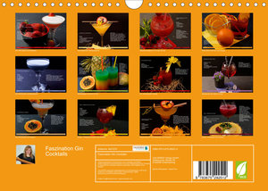 Faszination Gin Cocktails (Wandkalender 2023 DIN A4 quer)