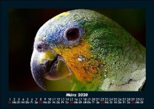 Der Tierkalender 2020 Fotokalender DIN A5