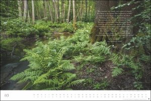 Der deutsche Wald - Ein literarischer Spaziergang Kalender 2023. Inspirierende Fotos deutscher Wälder mit Zitaten bekannter Klassiker. Großer Wandkalender 2023.