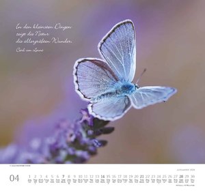 Achtsamkeit 2024 - DUMONT Wandkalender - mit den wichtigsten Feiertagen - Format 38,0 x 35,5 cm