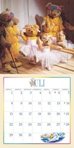 Der Teddybär 2024 - Broschürenkalender - Wandkalender - Format 30 x 30 cm
