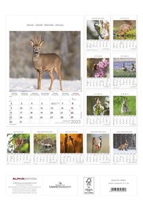 Gartenfreunde 2023 - Bildkalender 23,7x34 cm - Kalender mit Platz für Notizen - mit vielen Zusatzinformationen - Wandkalender - Alpha Edition