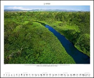 Regenwald 2022 - Bild-Kalender - Wand-Planer - 60x50