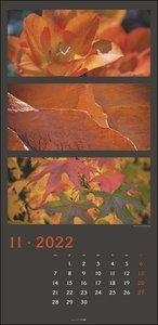 Die Farben der Natur Kalender 2022