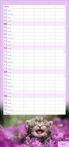 times&more Katzen Familienplaner 2026