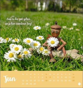 Eichelmännchen Postkartenkalender 2022