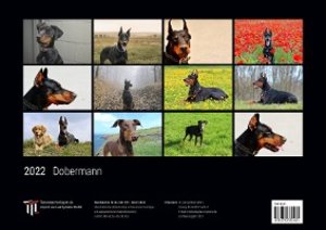 Dobermann 2022 - Black Edition - Timokrates Kalender, Wandkalender, Bildkalender - DIN A3 (42 x 30 cm)