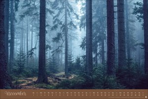 Zauberwälder Edition Kalender 2025