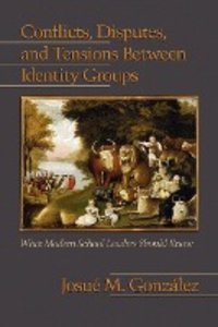 Conflicts, Disputes, and Tensions Between Identity Groups