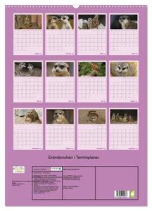 Erdmännchen / Terminplaner (Wandkalender 2024 DIN A2 hoch), CALVENDO Monatskalender