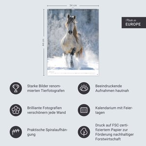 Pferde Classics Posterkalender 2026