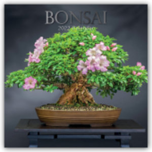 Bonsai 2022 - 16-Monatskalender