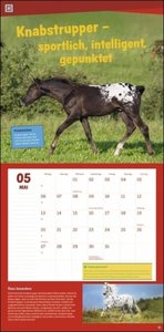 WAS IST WAS Entdecke die Tierwelt Broschurkalender 2024. Jeden Monat Neues lernen mit dem Tierkalender 2024! Wandkalender fürs Kinderzimmer: Kinderwissen über Tiere spannend präsentiert, 29,5 x 60 cm