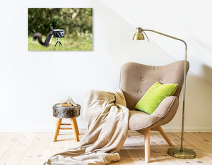 Premium Textil-Leinwand 75 cm x 50 cm quer Eichhörnchen entdeckt die Liebe zur Fotografie.