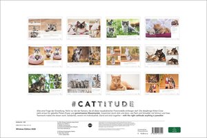 Whiskas Katzenkalender 2026