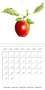 FRUITS SELECTED PAINTINGS BY YANNY PETTERS (Wall Calendar 2021 300 × 300 mm Square)