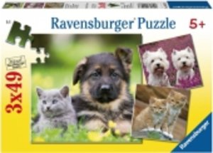 Ravensburger 09423 - Hunde und Katzen, Puzzle, 3x49 Teile