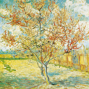 van Gogh - From Vincent\'s Garden 2022