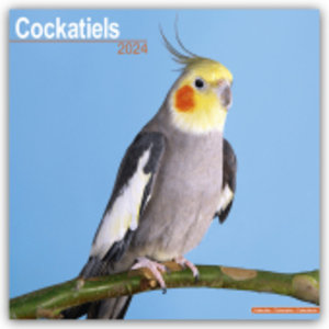 Cockatiels - Nymphensittiche 2024 - 16-Monatskalender