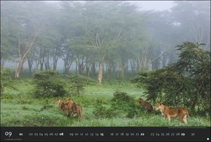 Die letzte Wildnis. Edition Alexander von Humboldt. Kalender 2024. Naturkalender mit beeindruckenden Fotos. Kalender-Großformat mit wilden Tieren und unberührten Landschaften.