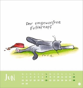 Puth Yoga für die Katz Postkartenkalender 2026