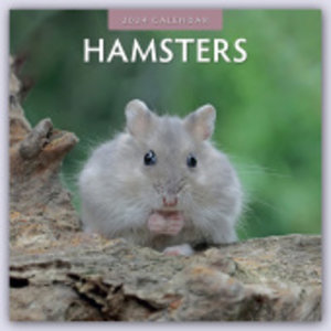Hamsters - Hamster 2024 - 16-Monatskalender