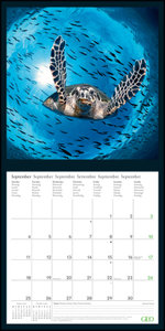 GEO Amazing Nature 2023 - Wand-Kalender - Broschüren-Kalender - 30x30 - 30x60 geöffnet
