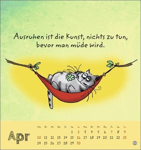 Catzz Postkartenkalender 2023. Humor-Kalender von Alexander Holzach. Kleiner Kalender mit witzigen Cartoon-Katzen. Kalender 2023 im Postkartenformat